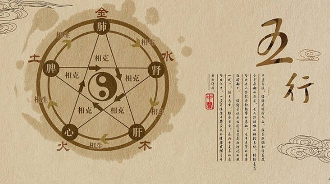 淑字如何起名（淑字取名女孩）