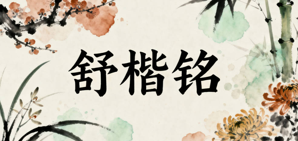 舒姓男孩名字推荐