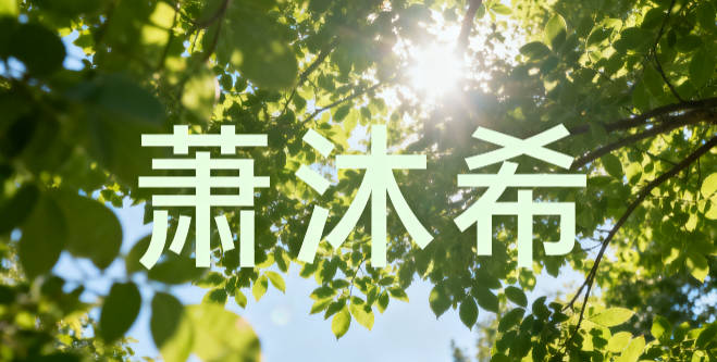 萧姓女孩起名大全