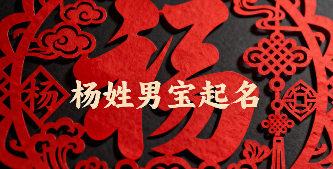 杨姓男宝宝起名经典大气