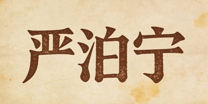 严泊宁，既有淡泊明志，宁静致远的寓意，又不重名