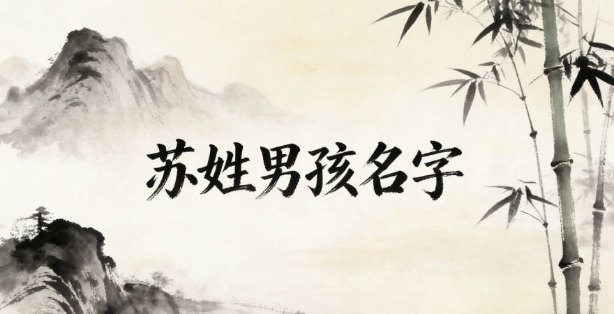 苏姓男孩名字大全