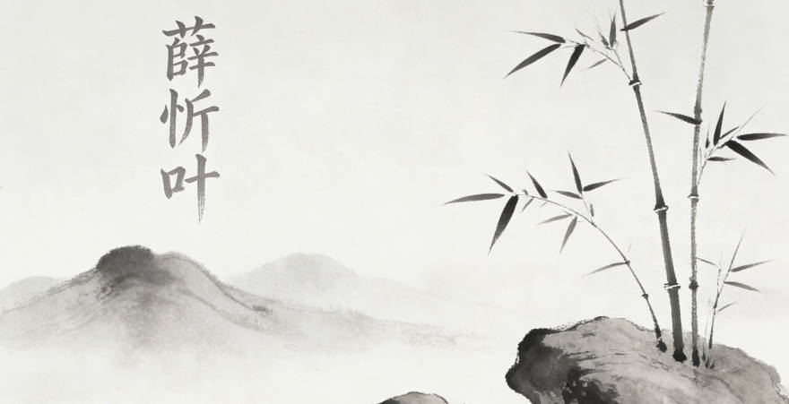 薛忻叶,忻是喜悦的意思,叶代表生机