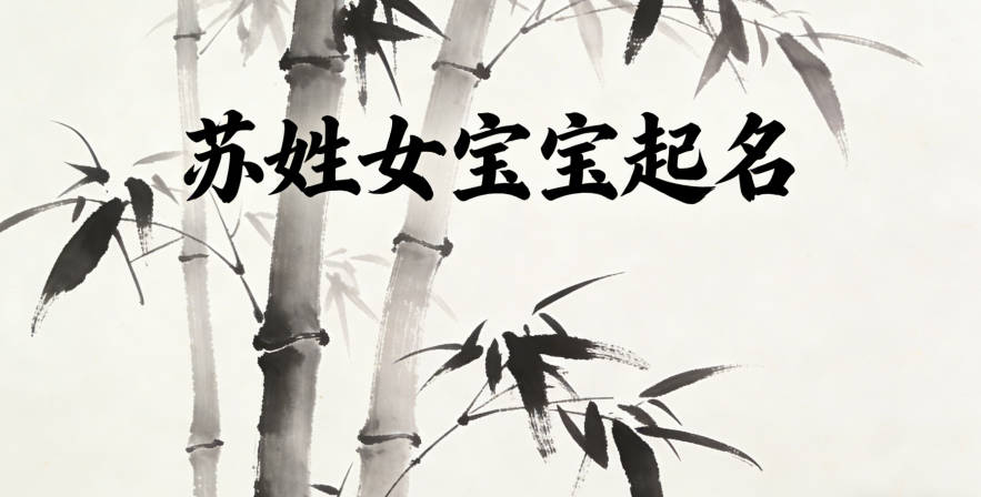 苏姓女宝宝起名寓意好的名字推荐