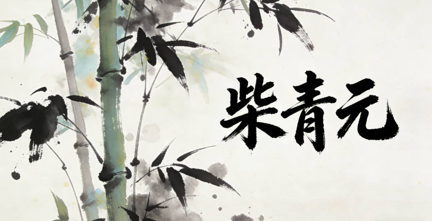 柴青元，青代表春天的草木繁茂，元代表春是一年之始
