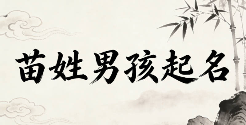 苗姓简单顺口的男孩名字