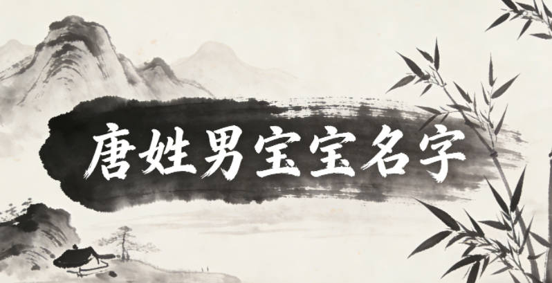 大气有格局的唐姓男宝宝名字