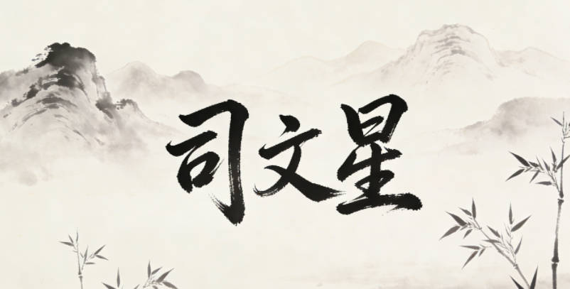 司文星,文星出自古代对文人的尊称,寓意才华出众