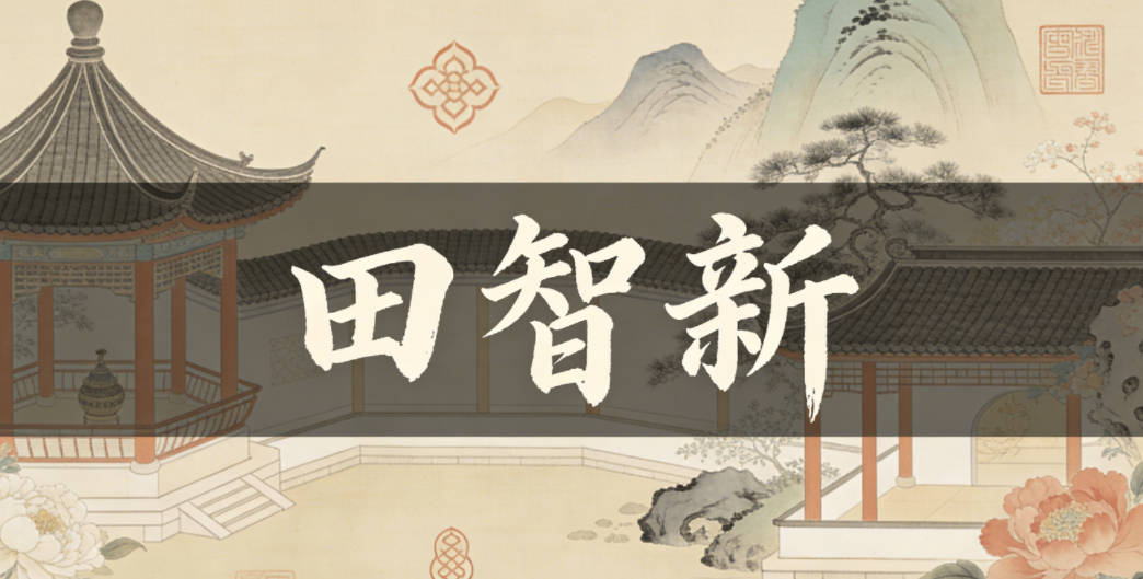 田智新，智代表聪明睿智，，新代表新生、创新